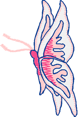 Butterflies 27 (48)
