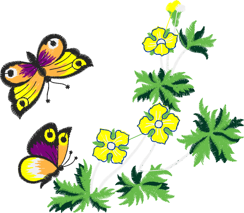 Butterflies 27 (5)