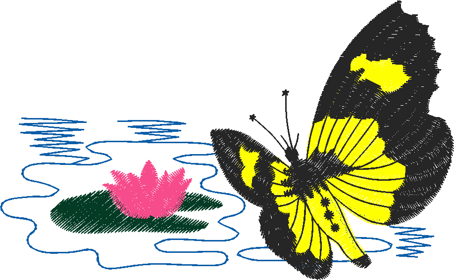 Butterflies 27 (8)