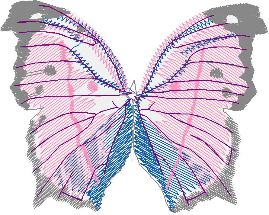 Butterflies 28 (14)