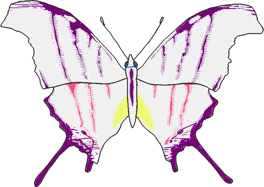 Butterflies 28 (20)