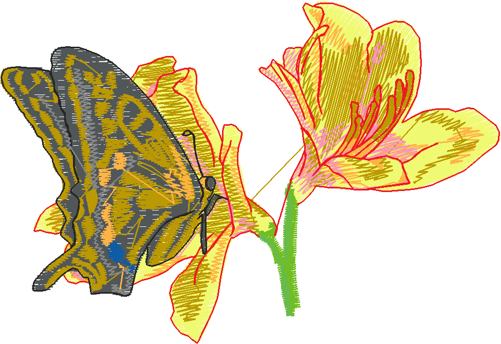 Butterflies 28 (24)