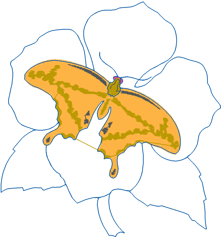 Butterflies 28 (28)