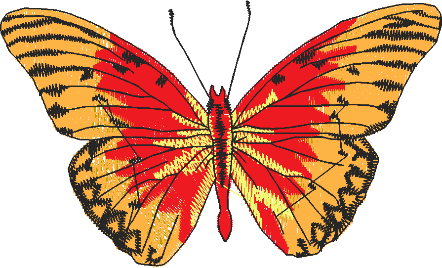 Butterflies 28 (7)