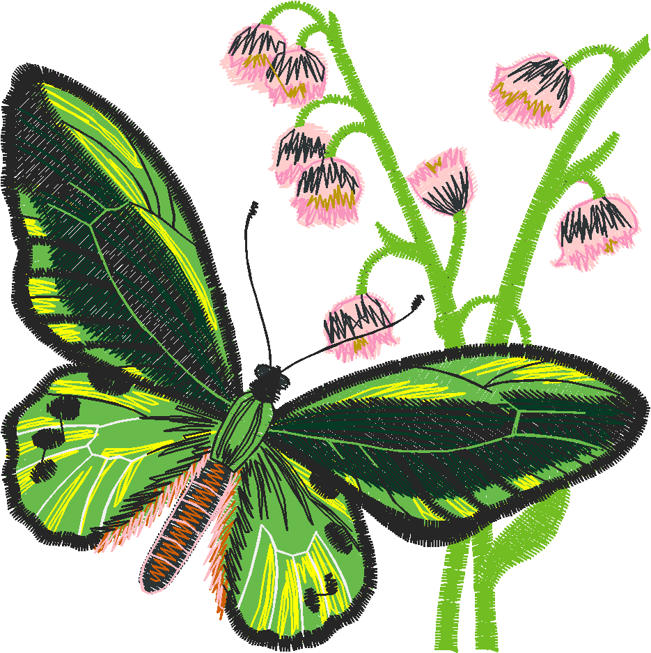 Butterflies 29 (22)
