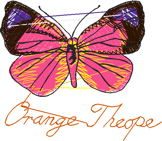 Butterflies 3  (12)