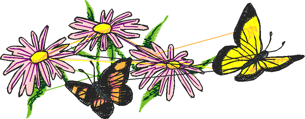 Butterflies 3  (18)