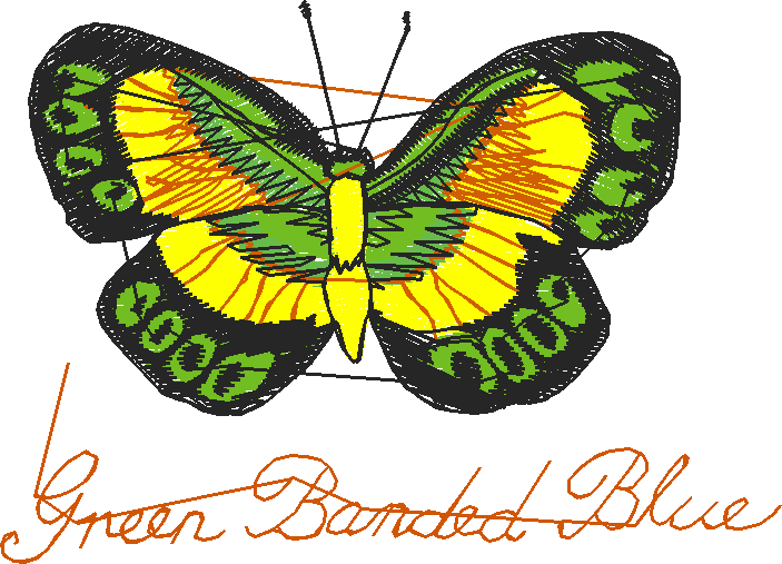 Butterflies 3  (2)