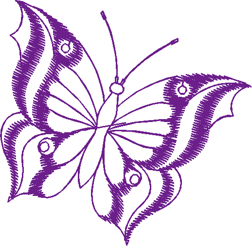 Butterflies 34  (8)