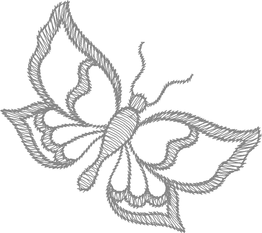 Butterflies 34  (9)
