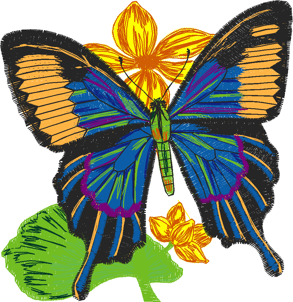 Butterflies 5  (10)