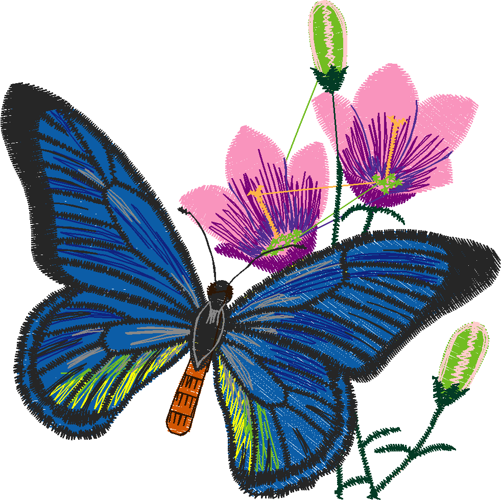 Butterflies 5  (6)
