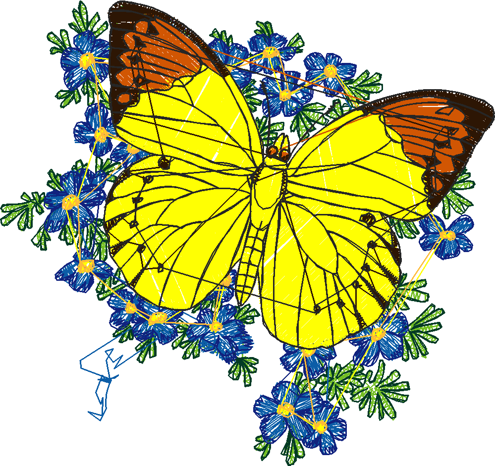 Butterflies 6  (2)