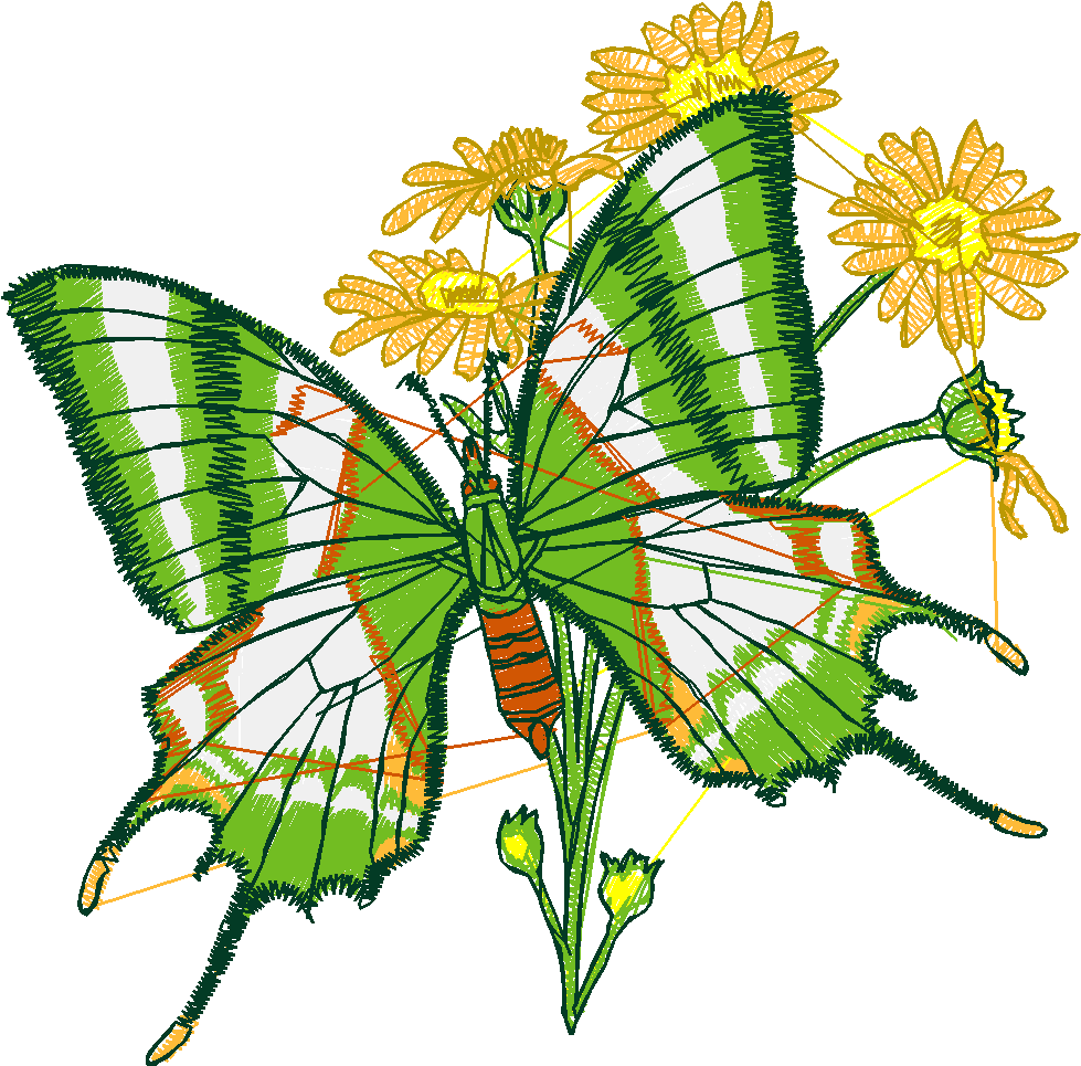 Butterflies 6  (3)