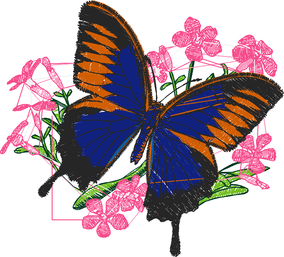 Butterflies 6  (7)