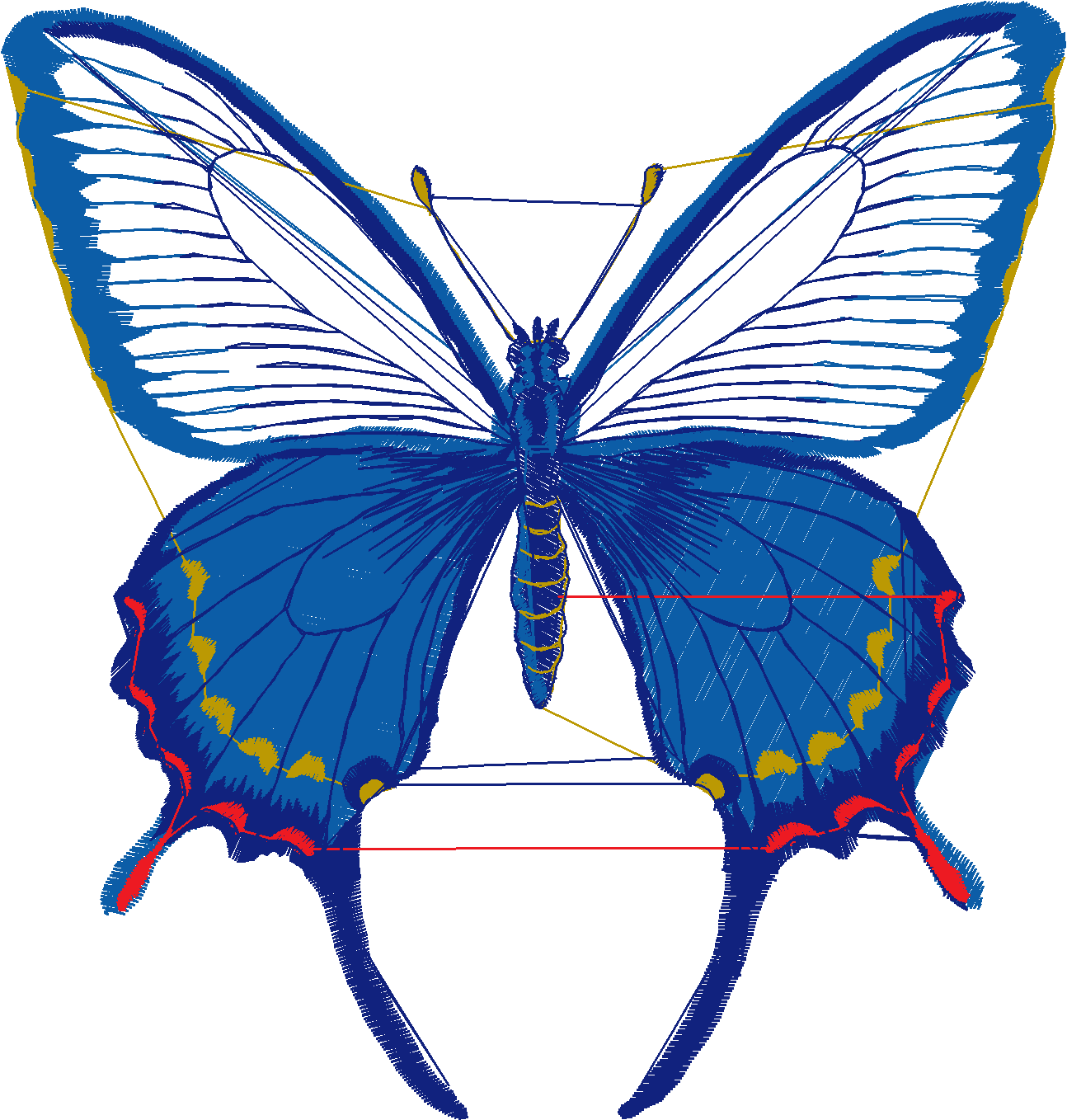 Butterflies 7  (2)