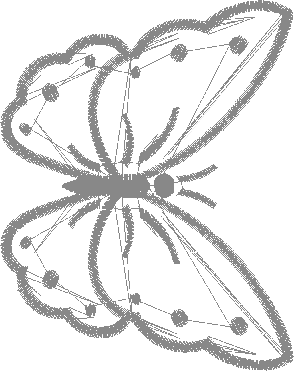 Butterflies 7  (5)