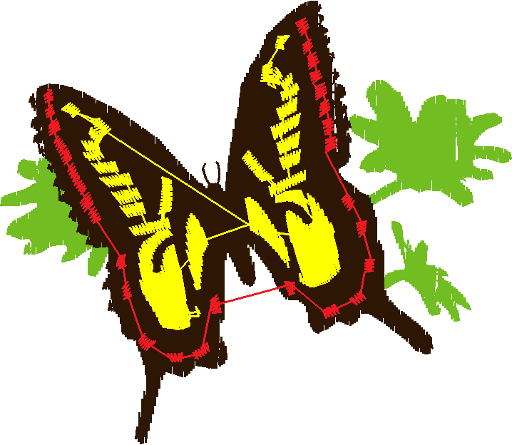 Butterflies 7  (8)