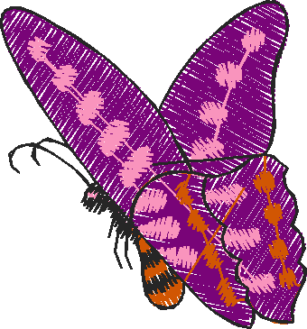 Butterflies 9  (11)