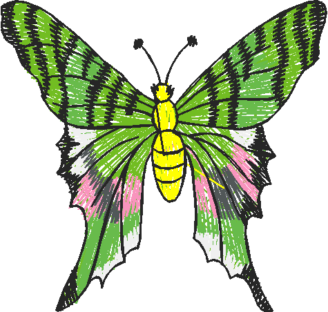 Butterflies 9  (12)