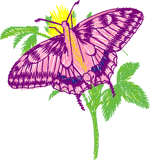 Butterflies 9  (6)