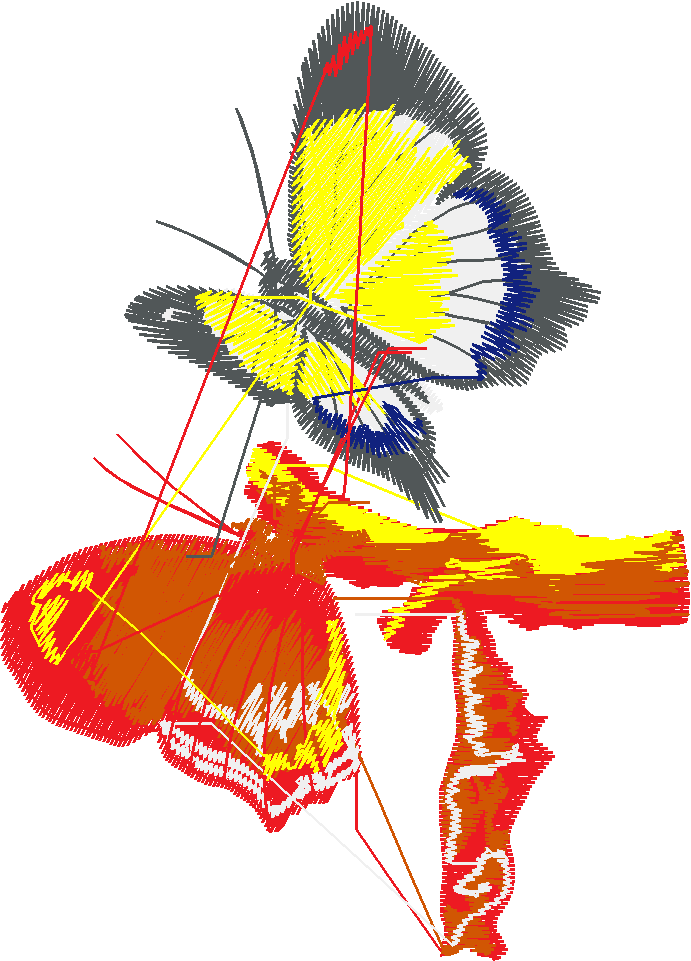 Butterflies & Dragonflies 1  (25)