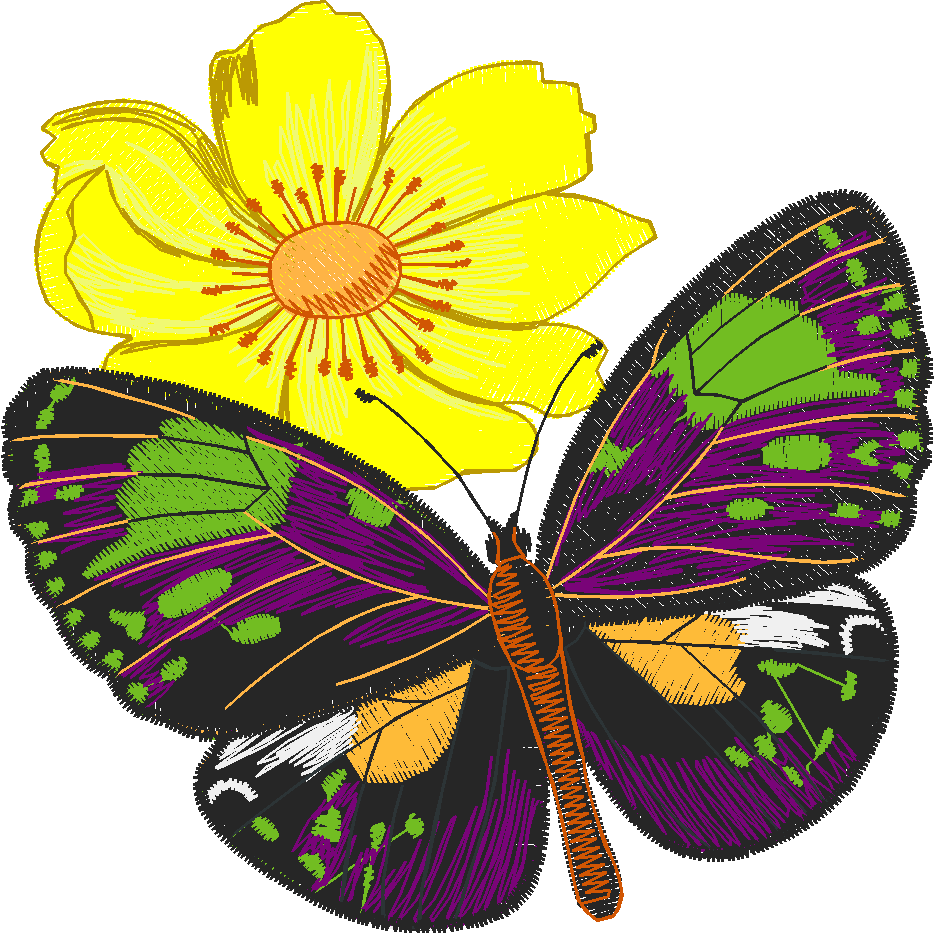 Butterflies and Flowers