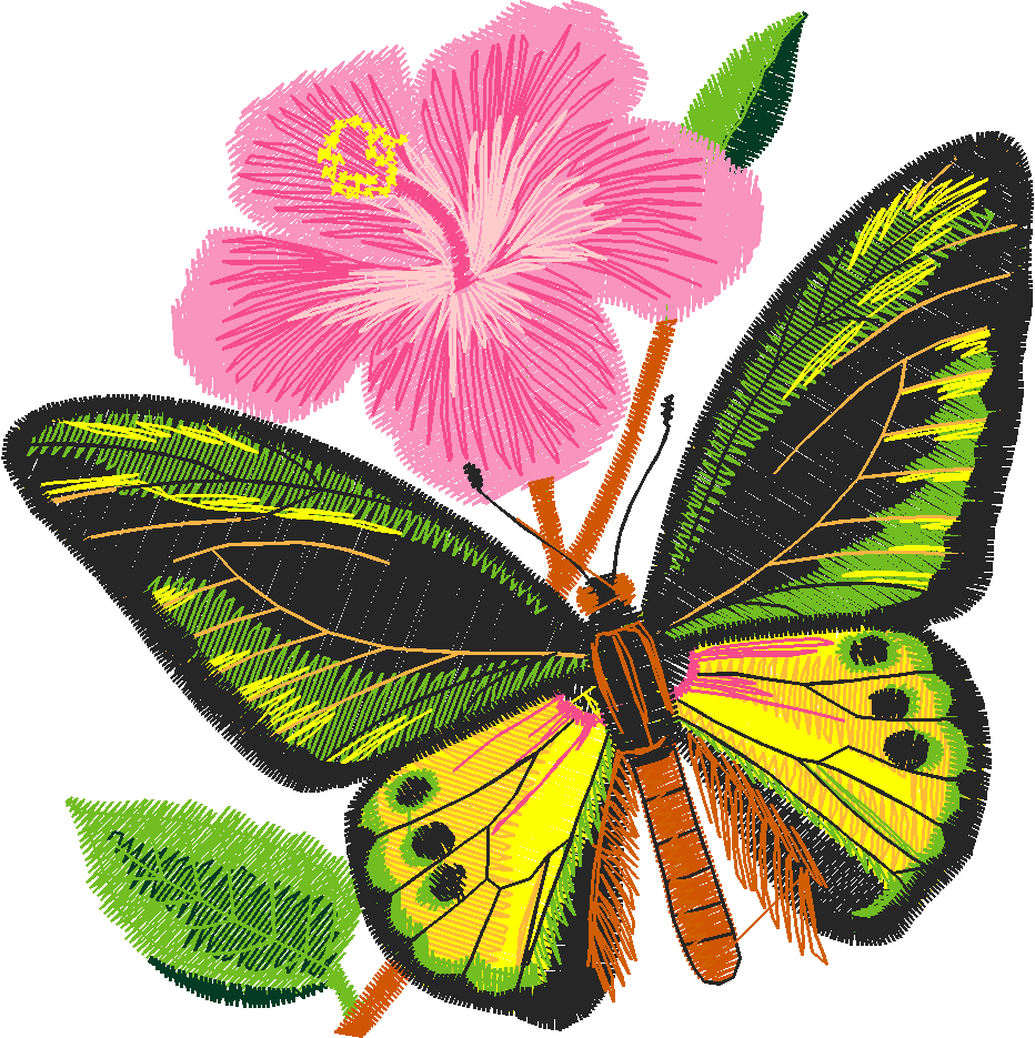 Butterflies & Flowers 1  (2)