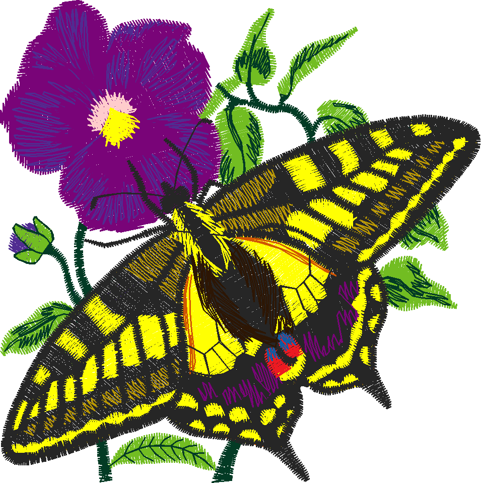 Butterflies & Flowers 1  (6)