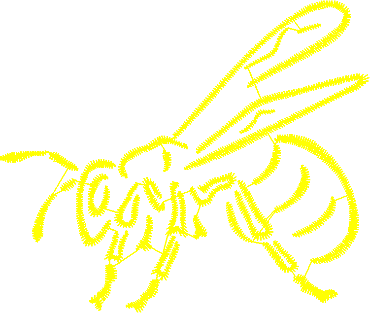 Butterflies & Insects 1  (102)