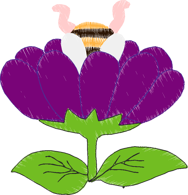 Butterflies & Insects 1  (14)