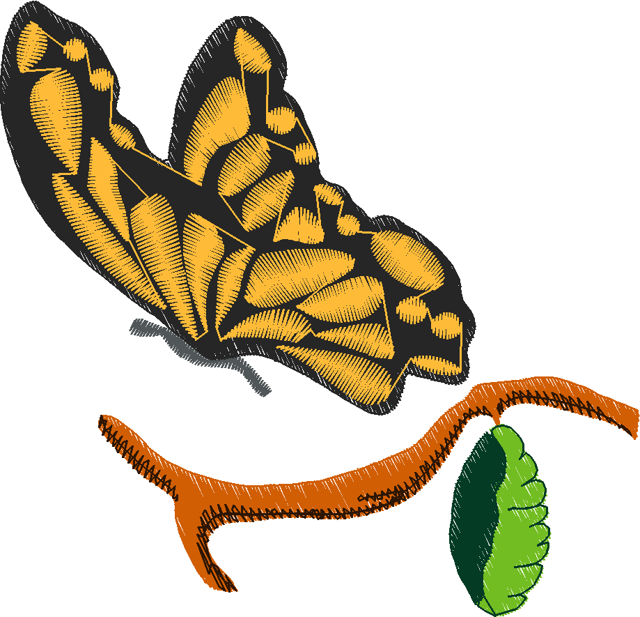 Butterflies & Insects 1  (36)