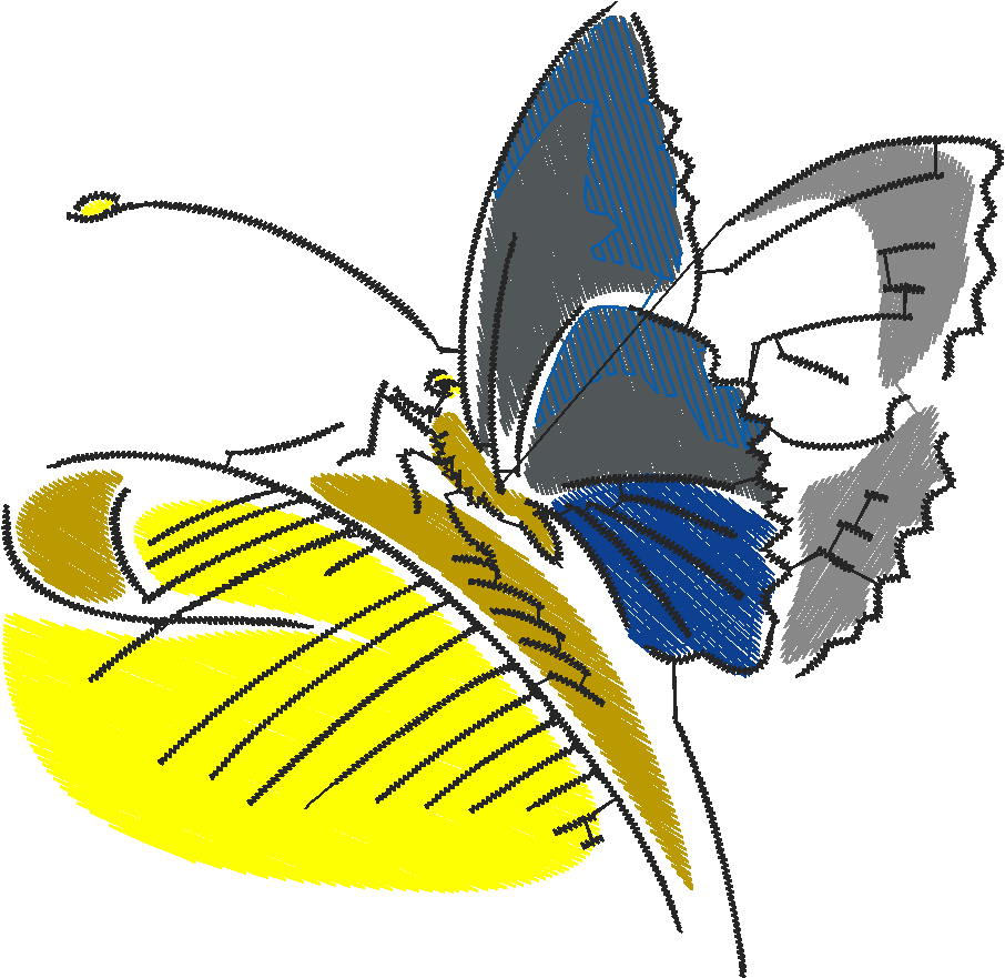 Butterflies & Insects 1  (53)