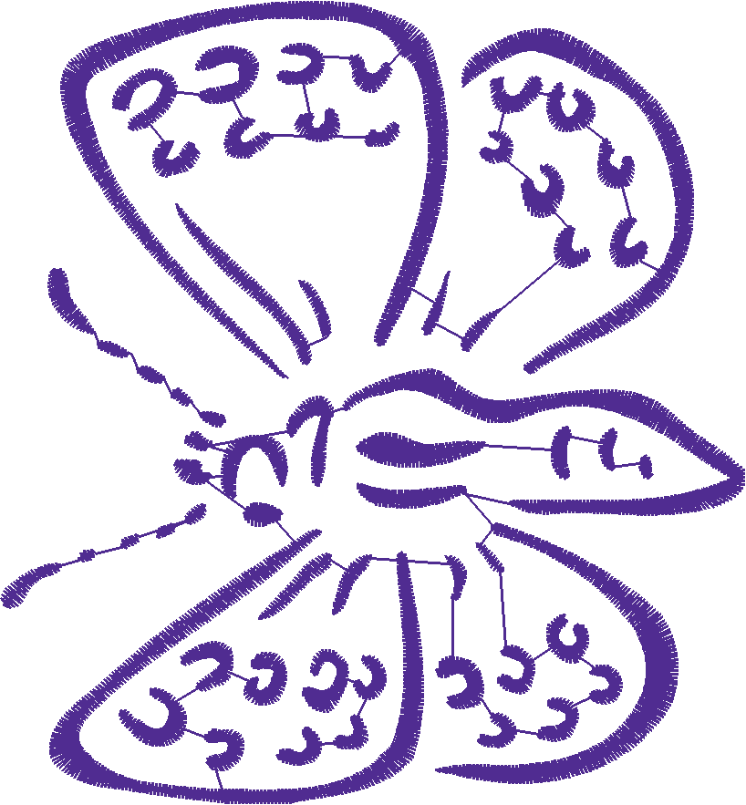 Butterflies & Insects 1  (69)