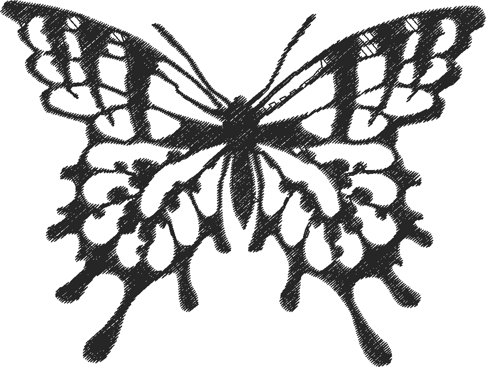 Butterflies & Insects 1  (94)