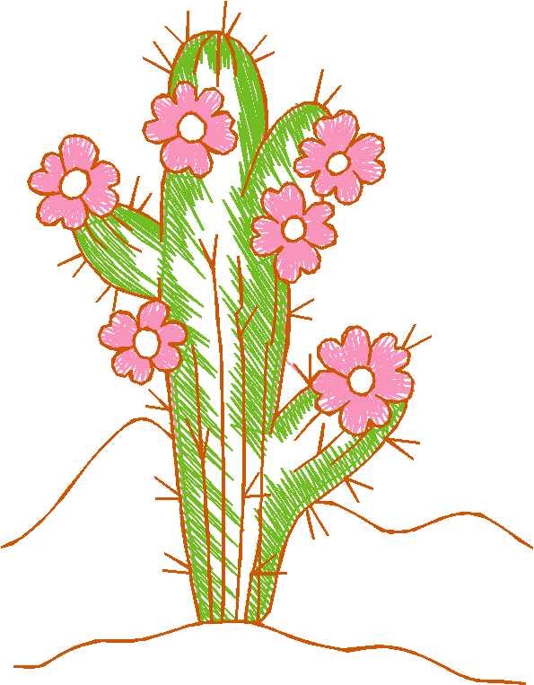 Cactus and Bullfighters