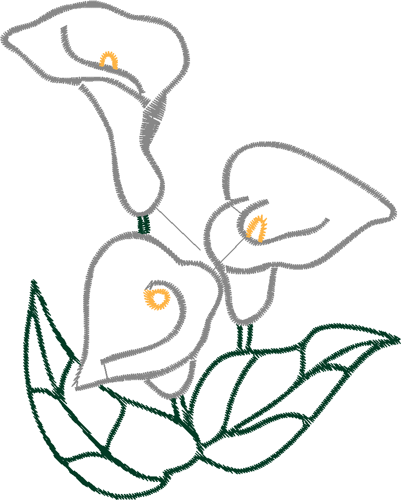 Cala Lillies Collection