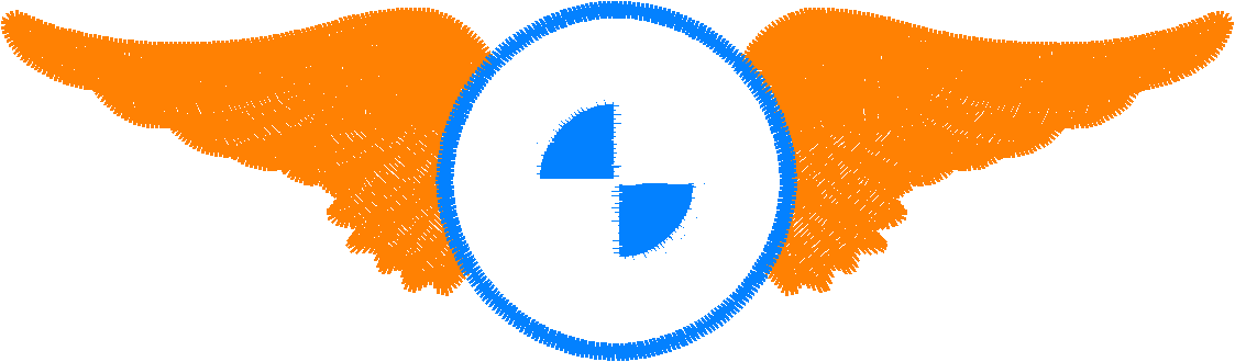 bmw (6)