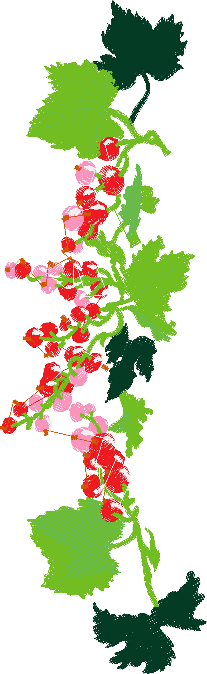 Celebration Of Fruit & Flowers 1 (9)