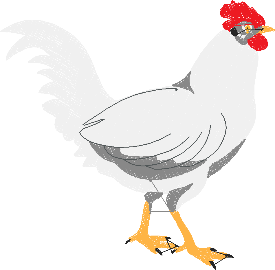 Chickens 2 (8)