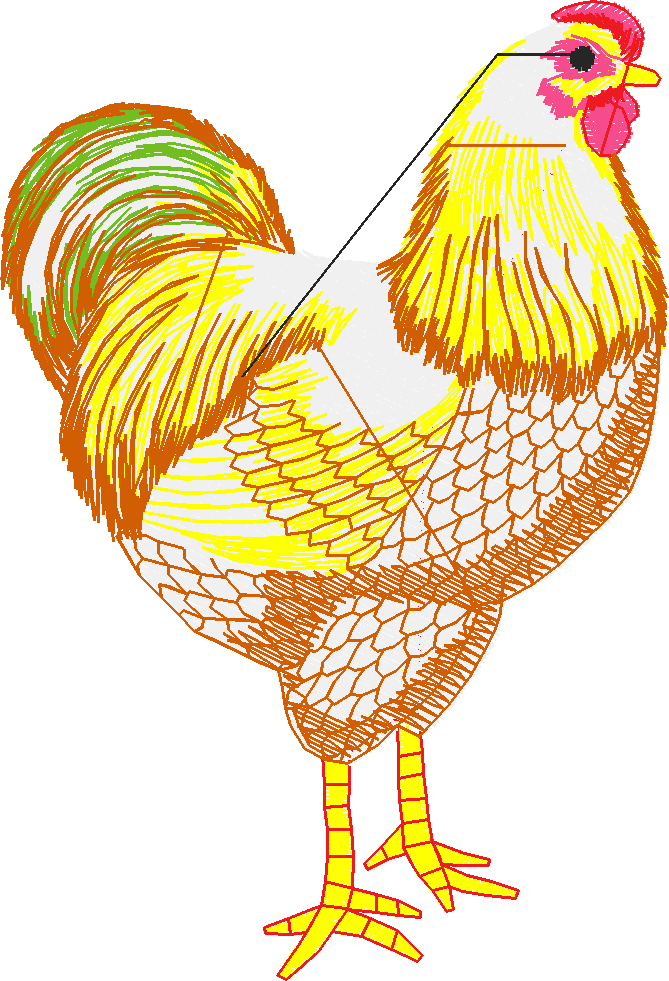 Chickens & Roosters 1 (11)