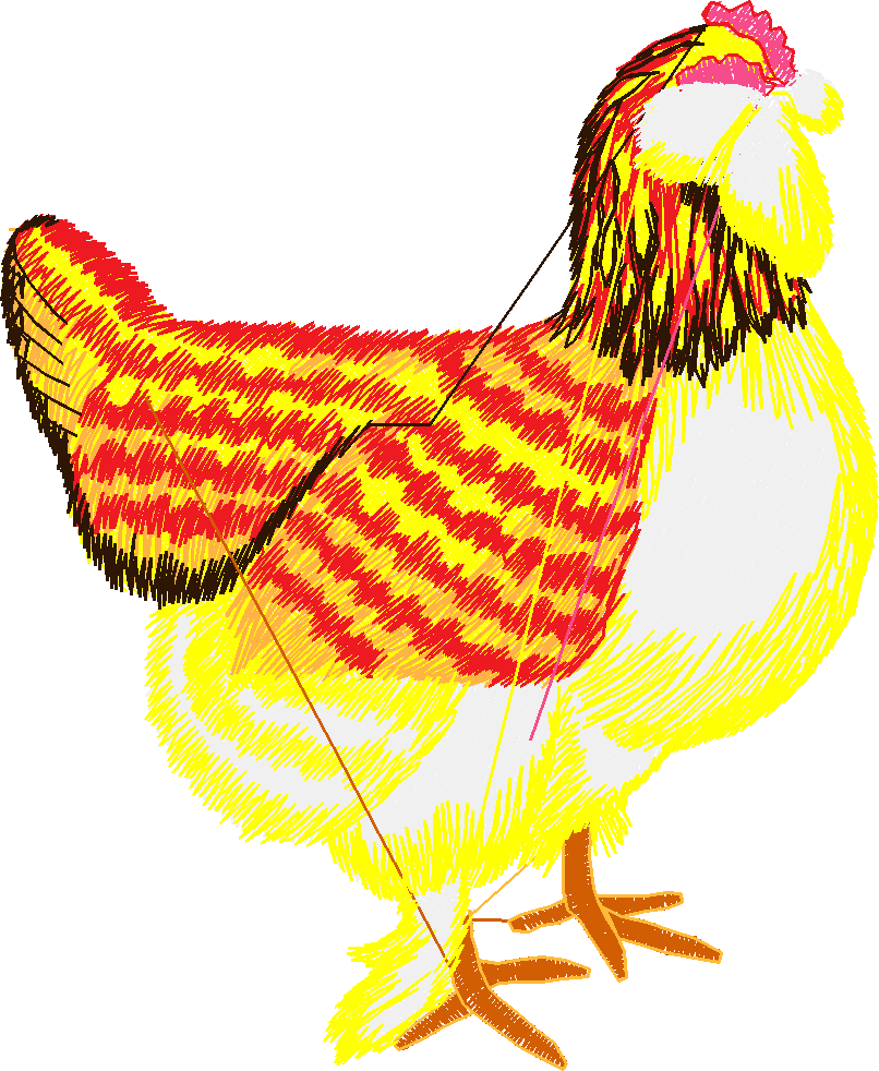 Chickens & Roosters 1 (14)