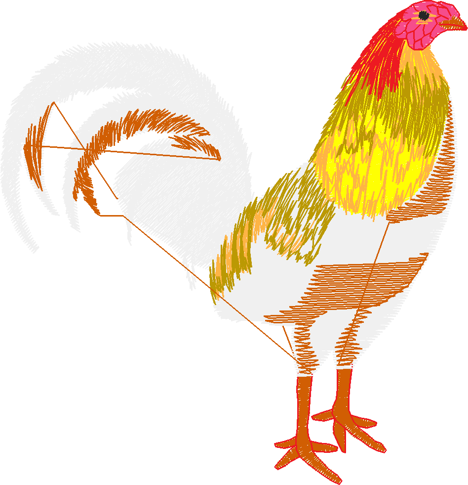 Chickens & Roosters 1 (16)