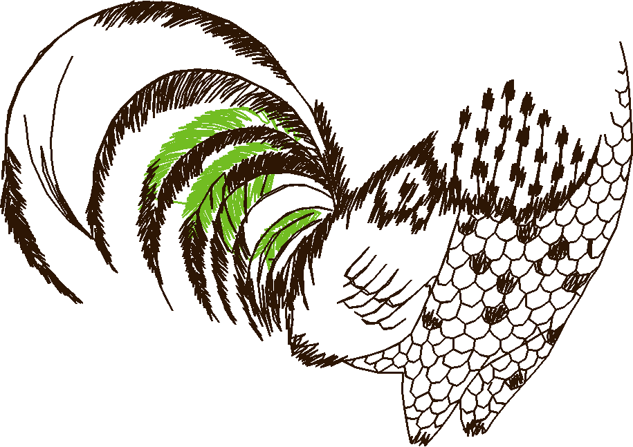 Chickens & Roosters 1 (17)