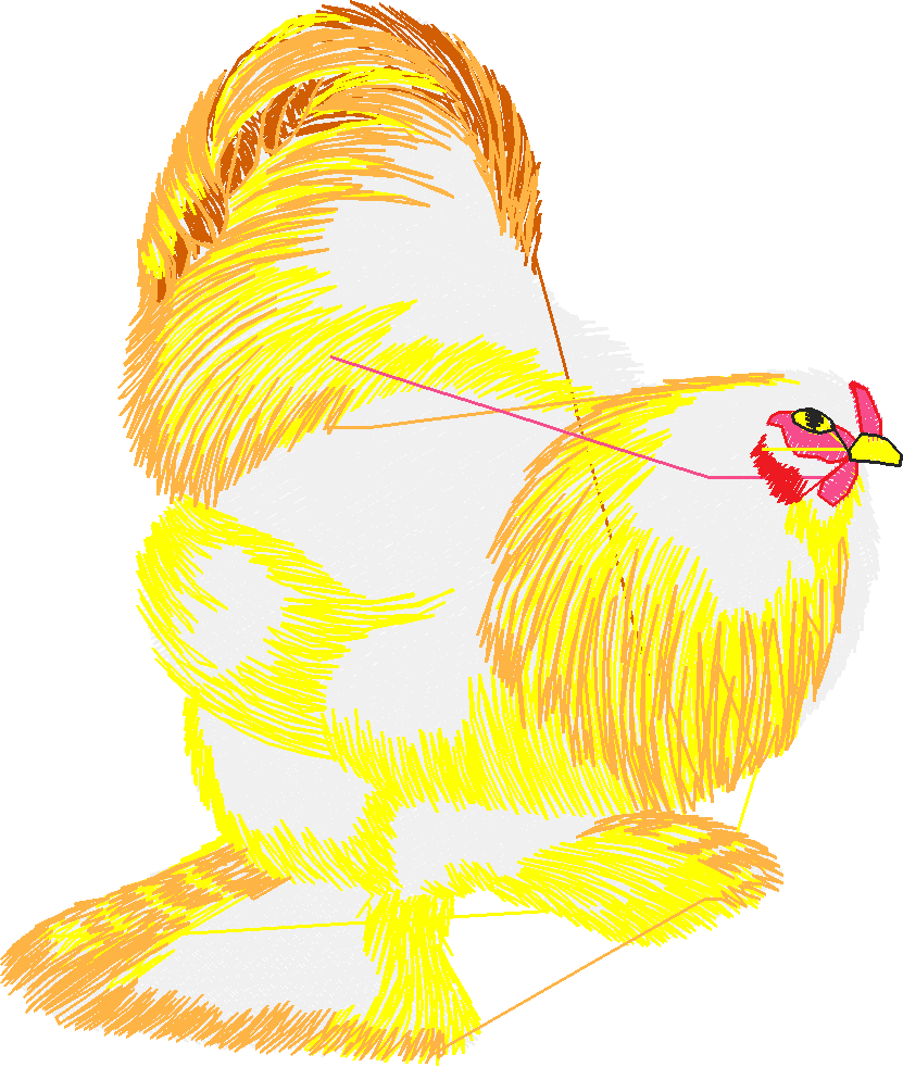 Chickens & Roosters 1 (18)