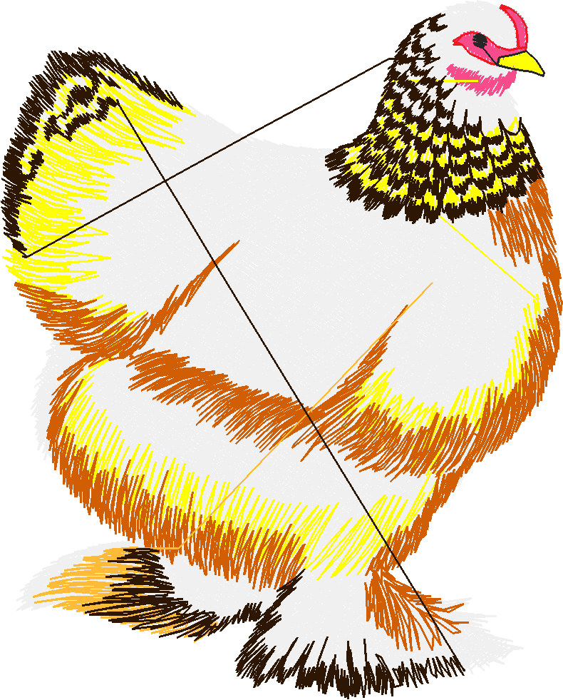 Chickens & Roosters 1 (19)