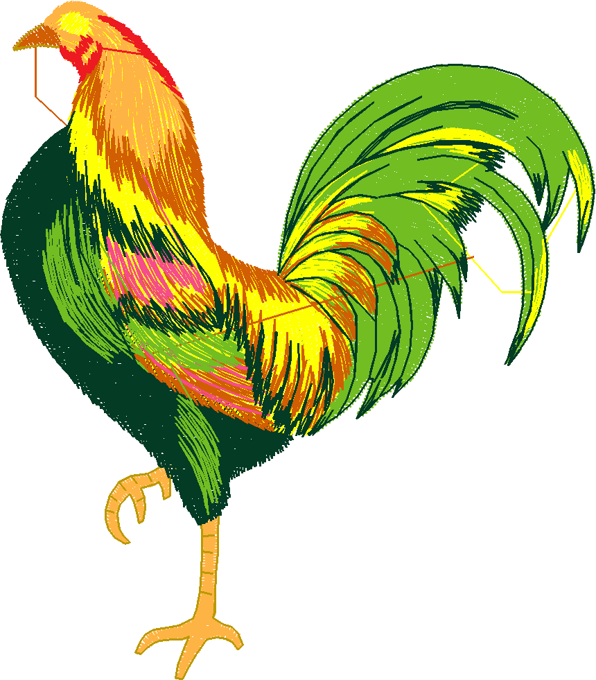 Chickens & Roosters 1 (2)