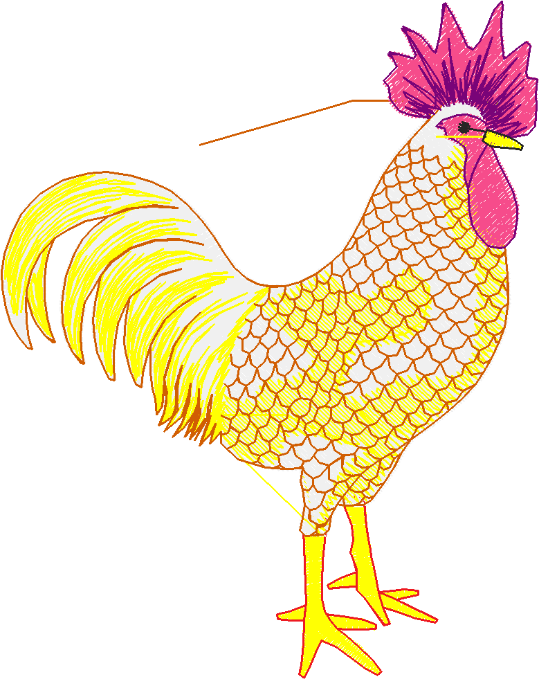 Chickens & Roosters 1 (22)