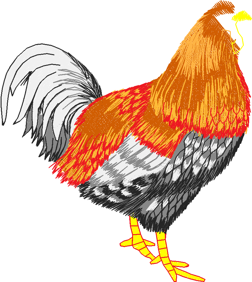 Chickens & Roosters 1 (23)