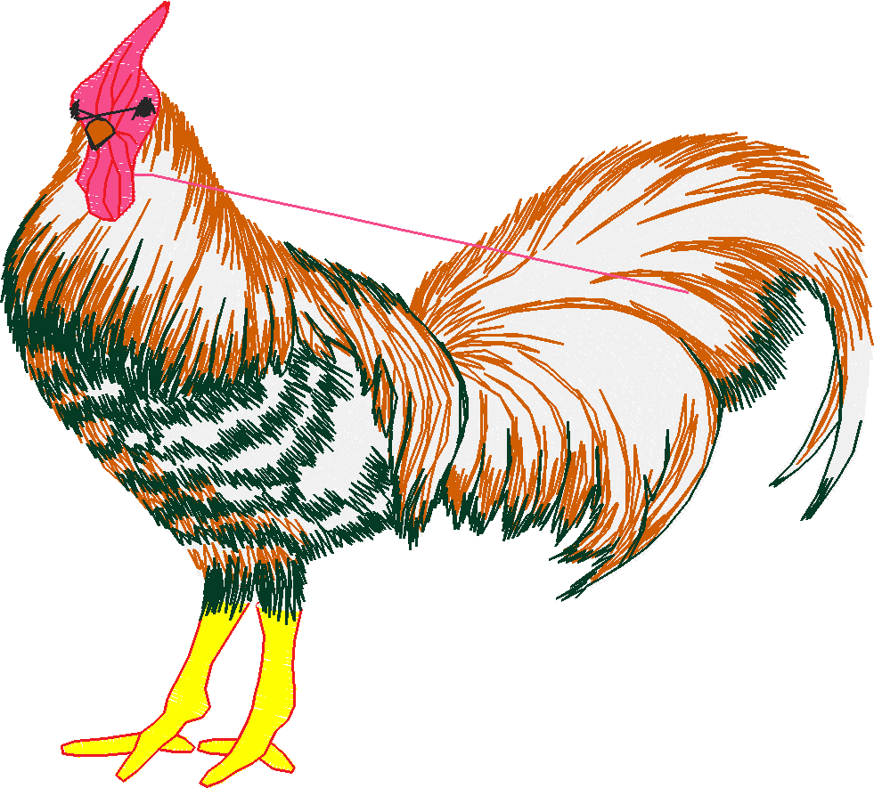 Chickens & Roosters 1 (25)